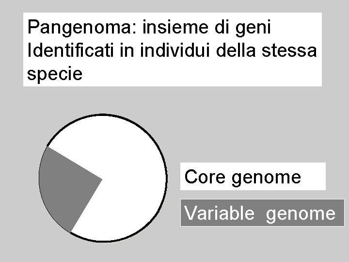 Pangenoma: insieme di geni Identificati in individui della stessa specie Core genome Variable genome