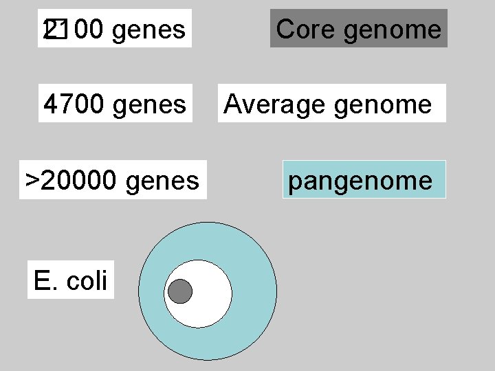 2100 genes � 4700 genes >20000 genes E. coli Core genome Average genome pangenome