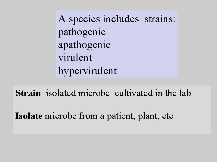 A species includes strains: pathogenic apathogenic virulent hypervirulent Strain isolated microbe cultivated in the