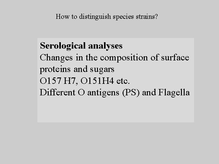 How to distinguish species strains? Serological analyses Changes in the composition of surface proteins