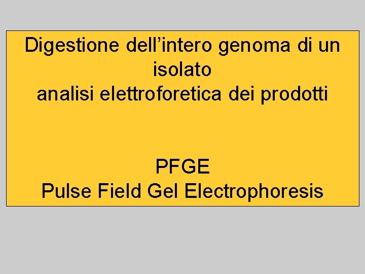 Digestione dell’intero genoma di un isolato analisi elettroforetica dei prodotti PFGE Pulse Field Gel