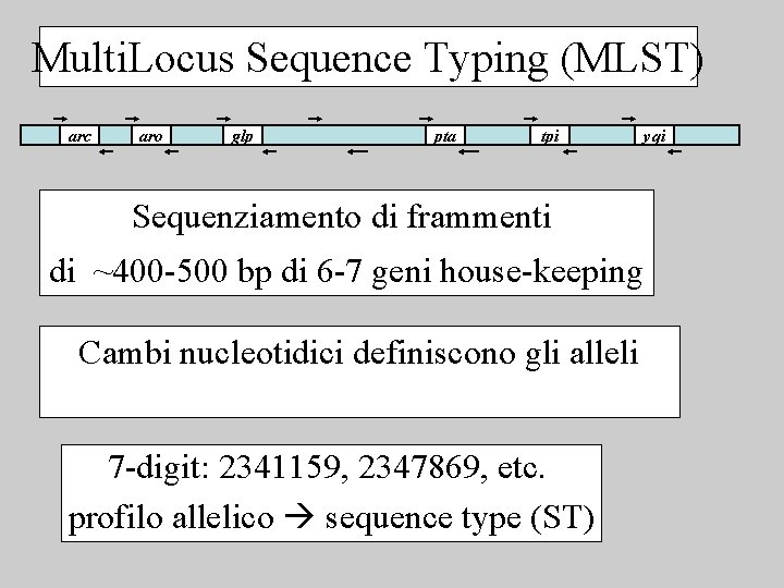Multi. Locus Sequence Typing (MLST) arc aro glp pta tpi Sequenziamento di frammenti di