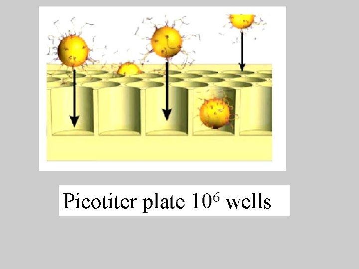 Picotiter plate 106 wells 