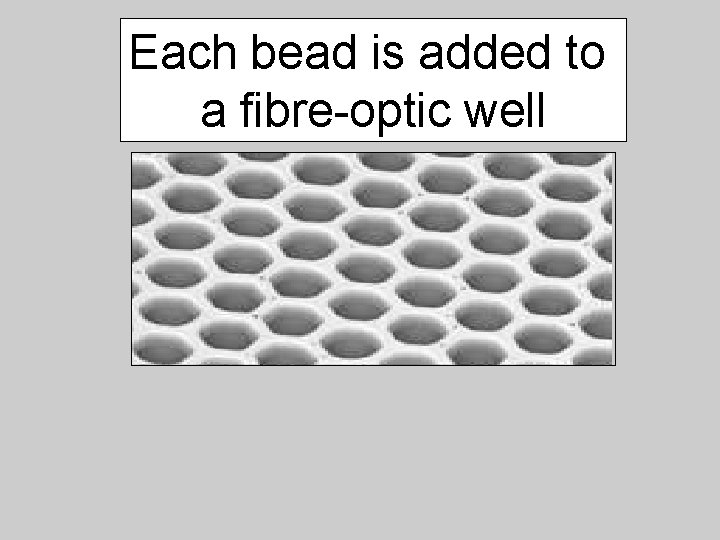 Each bead is added to a fibre-optic well 