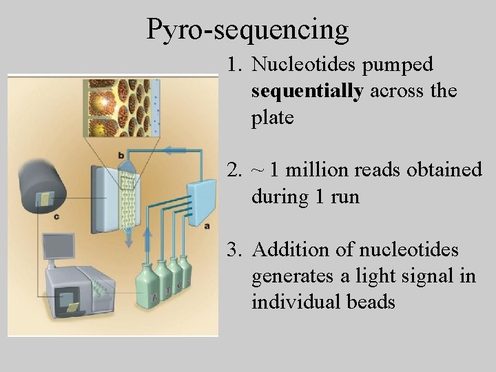 Pyro-sequencing 1. Nucleotides pumped sequentially across the plate 2. ~ 1 million reads obtained