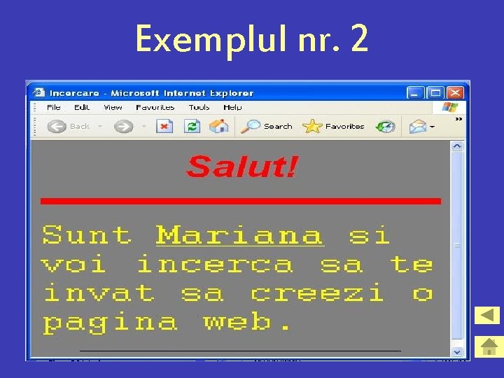 Exemplul nr. 2 