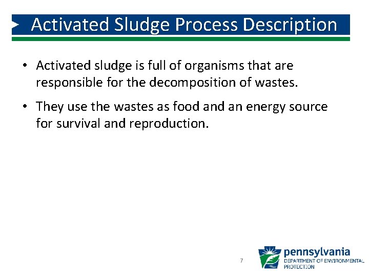 Activated Sludge Process Description • Activated sludge is full of organisms that are responsible Activated Sludge Process Description • Activated sludge is full of organisms that are responsible