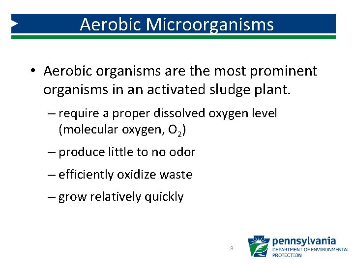Aerobic Microorganisms • Aerobic organisms are the most prominent organisms in an activated sludge Aerobic Microorganisms • Aerobic organisms are the most prominent organisms in an activated sludge