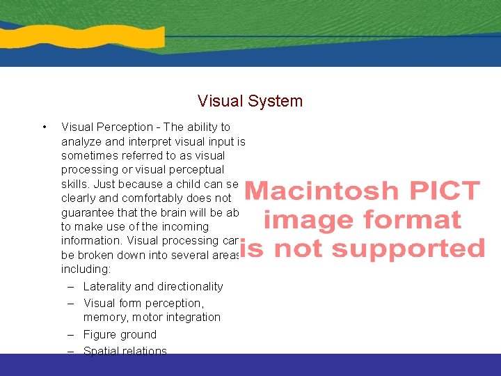 Visual System • Visual Perception - The ability to analyze and interpret visual input