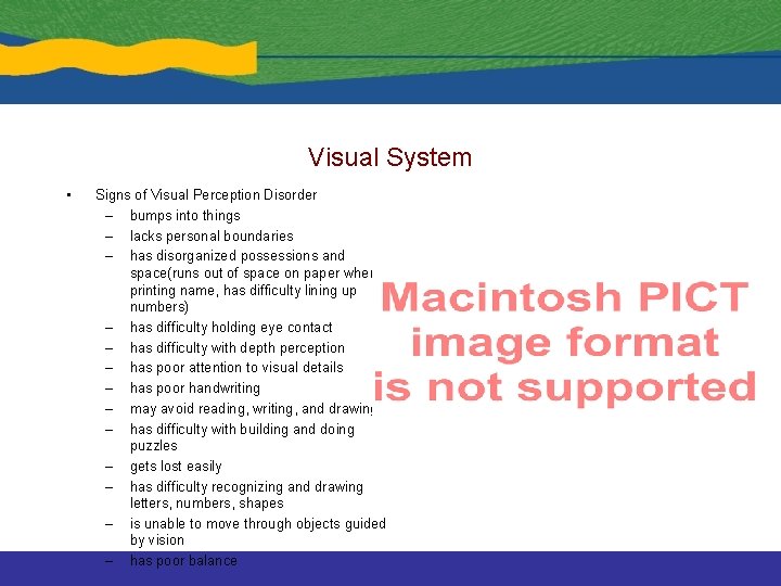 Visual System • Signs of Visual Perception Disorder – bumps into things – lacks