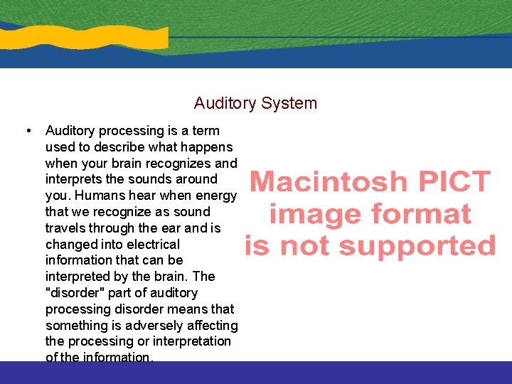 Auditory System • Auditory processing is a term used to describe what happens when