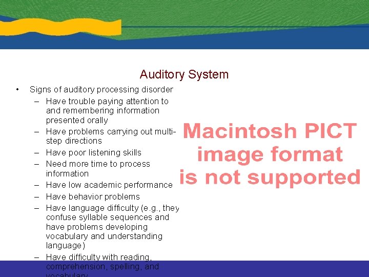 Auditory System • Signs of auditory processing disorder – Have trouble paying attention to