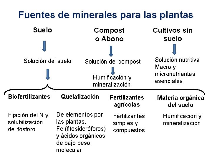 Fuentes de minerales para las plantas Suelo Compost o Abono Solución del suelo Solución