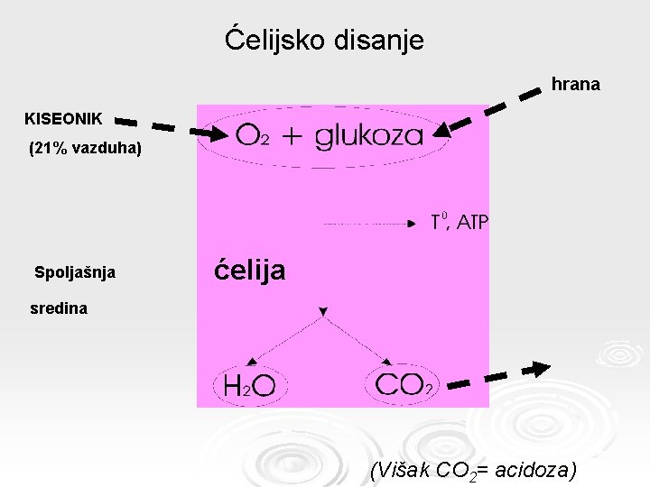 Ćelijsko disanje hrana KISEONIK (21% vazduha) Spoljašnja ćelija sredina (Višak CO 2= acidoza) 