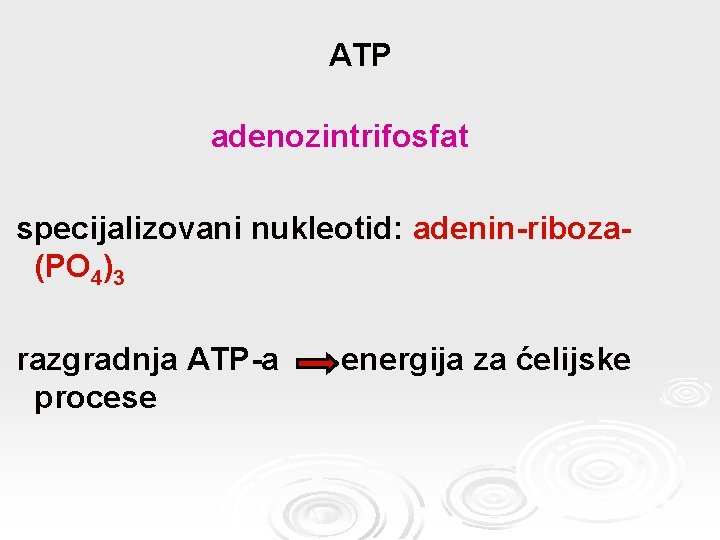 ATP adenozintrifosfat specijalizovani nukleotid: adenin-riboza(PO 4)3 razgradnja ATP-a energija za ćelijske procese 