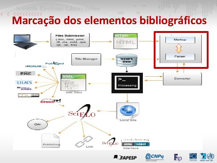 Marcação dos elementos bibliográficos 