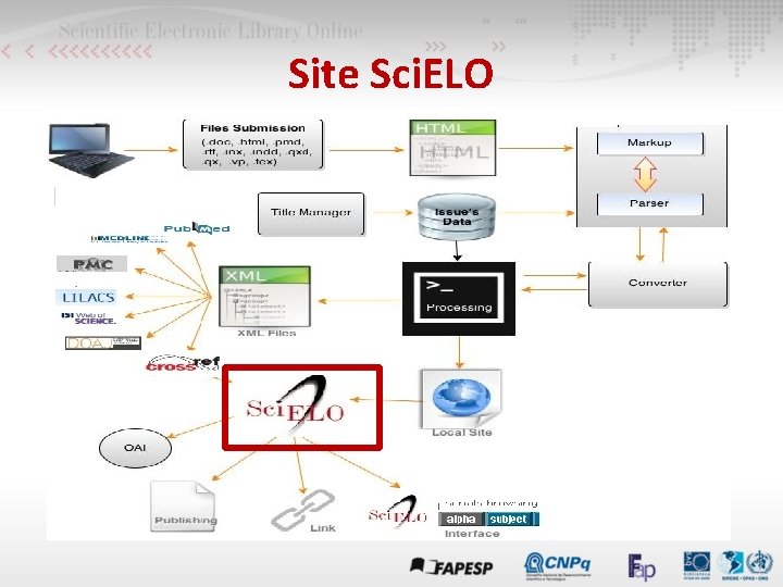 Site Sci. ELO 