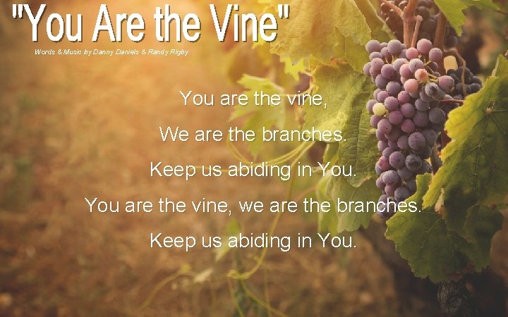 Words & Music by Danny Daniels & Randy Rigby You are the vine, We