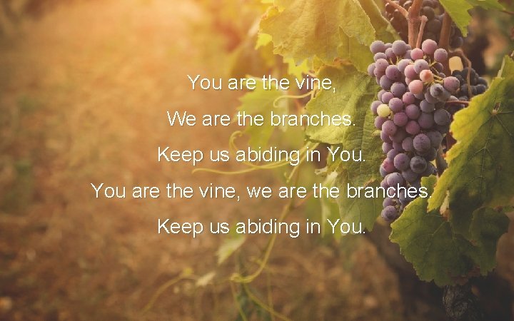 You are the vine, We are the branches. Keep us abiding in You are