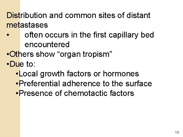 Distribution and common sites of distant metastases • often occurs in the first capillary