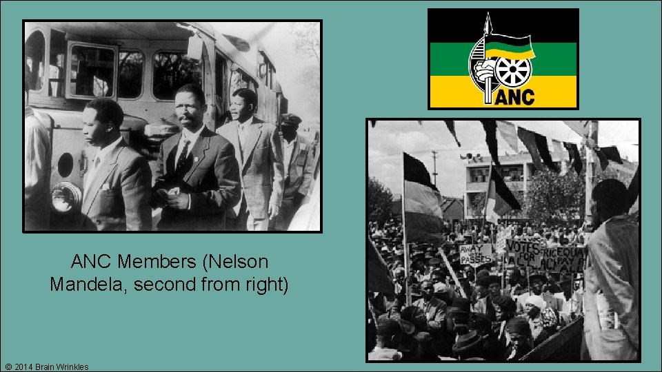 ANC Members (Nelson Mandela, second from right) © 2014 Brain Wrinkles 