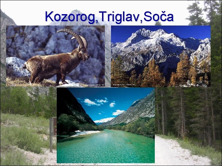 Kozorog, Triglav, Soča 