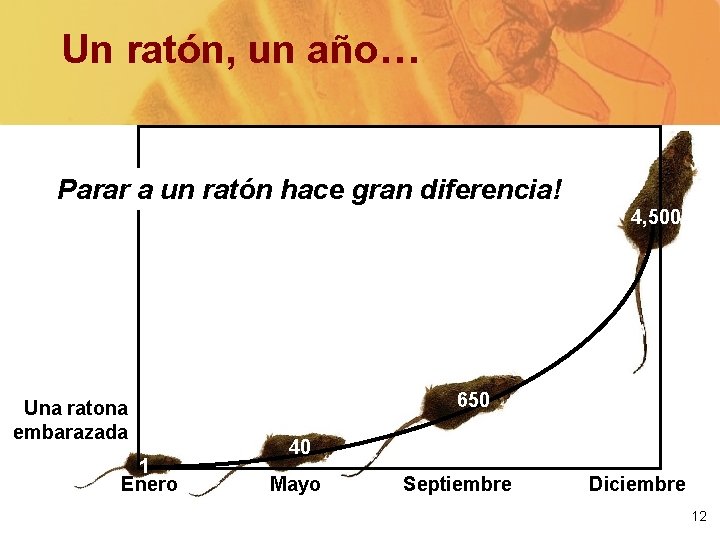 Un ratón, un año… Parar a un ratón hace gran diferencia! 4, 500 Una