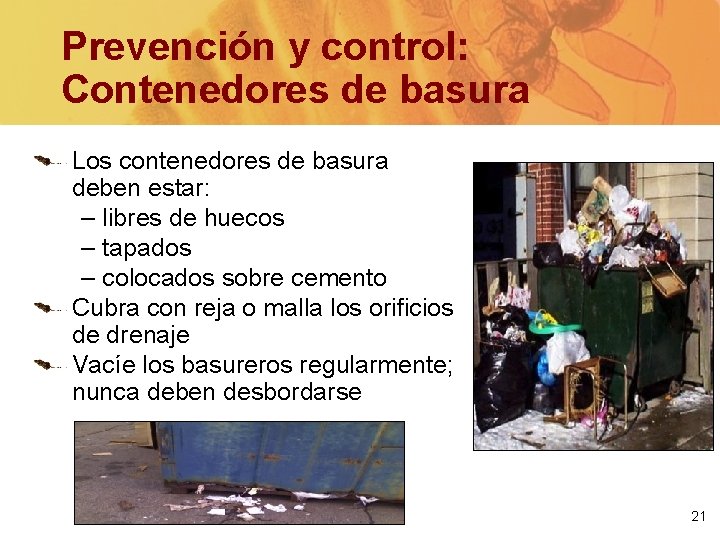 Prevención y control: Contenedores de basura Los contenedores de basura deben estar: – libres