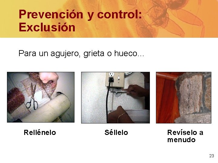 Prevención y control: Exclusión Para un agujero, grieta o hueco… Rellénelo Séllelo Revíselo a