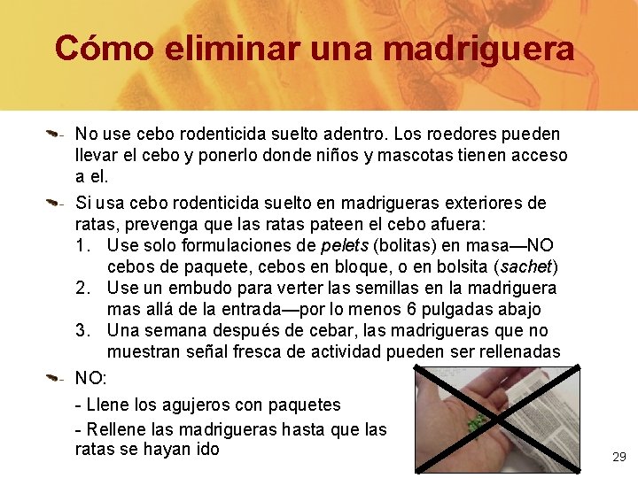 Cómo eliminar una madriguera No use cebo rodenticida suelto adentro. Los roedores pueden llevar