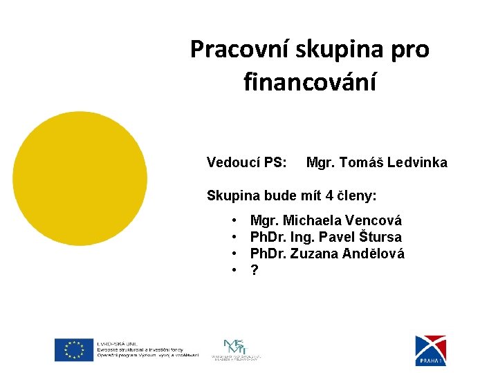 . Pracovní skupina pro financování Vedoucí PS: Mgr. Tomáš Ledvinka Skupina bude mít 4