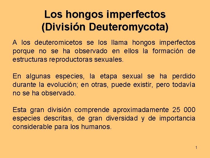 Los hongos imperfectos (División Deuteromycota) A los deuteromicetos se los llama hongos imperfectos porque