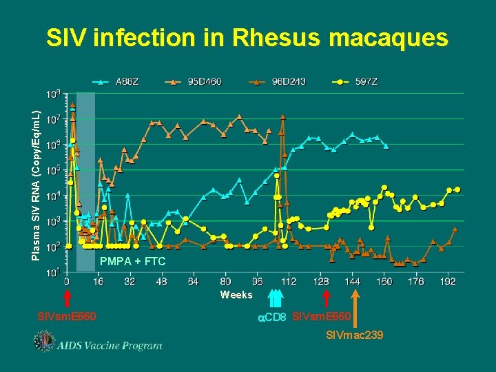 Plasma SIV RNA (Copy/Eq/m. L) SIV infection in Rhesus macaques PMPA + FTC Weeks
