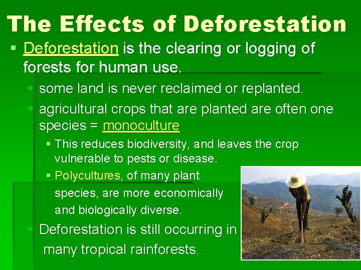 The Effects of Deforestation § Deforestation is the clearing or logging of forests for