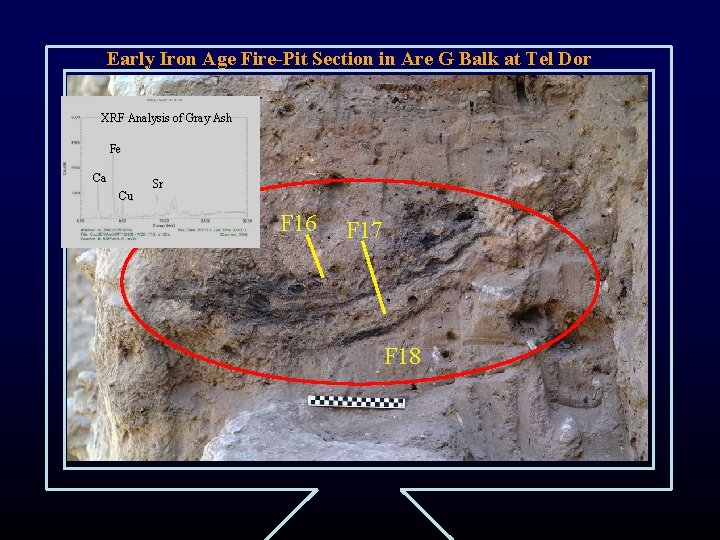 Early Iron Age Fire-Pit Section in Are G Balk at Tel Dor XRF Analysis