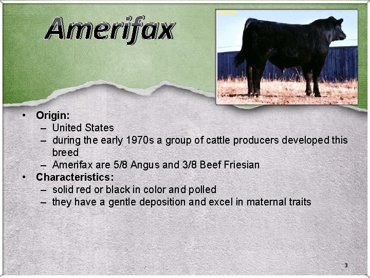 Amerifax • Origin: – United States – during the early 1970 s a group Amerifax • Origin: – United States – during the early 1970 s a group
