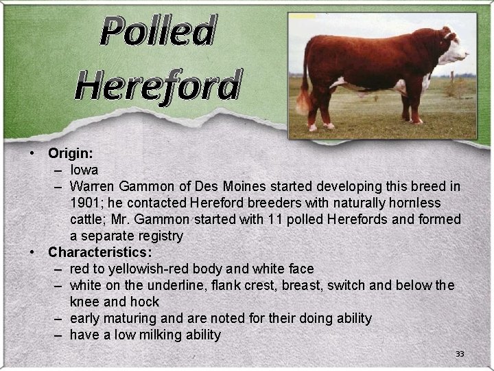 Polled Hereford • Origin: – Iowa – Warren Gammon of Des Moines started developing Polled Hereford • Origin: – Iowa – Warren Gammon of Des Moines started developing