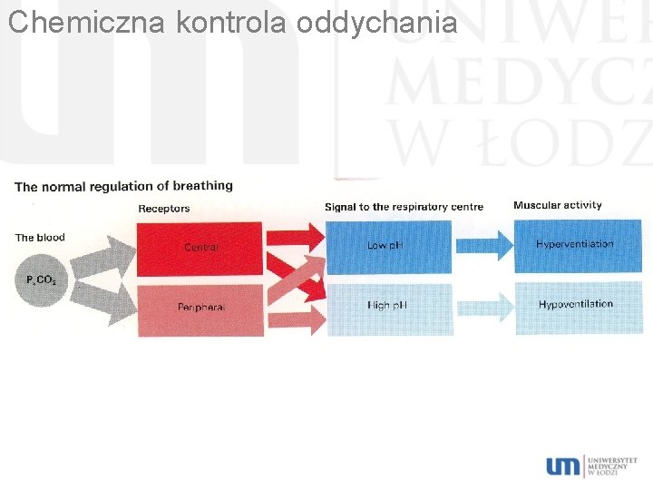 Chemiczna kontrola oddychania 