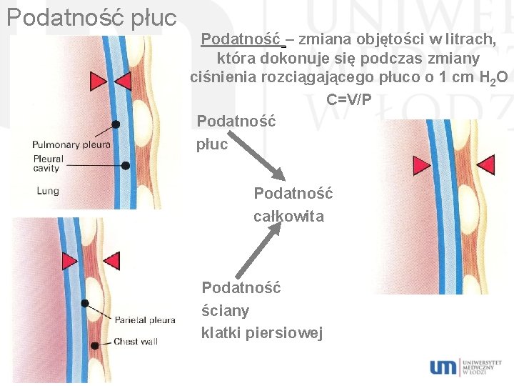 Podatność płuc Podatność – zmiana objętości w litrach, która dokonuje się podczas zmiany ciśnienia