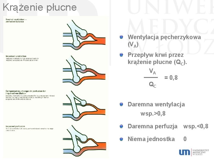 Krążenie płucne Wentylacja pęcherzykowa (VA) Przepływ krwi przez krążenie płucne (QC). VA = 0,