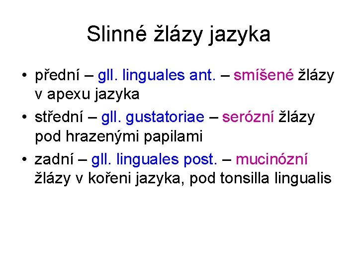 Slinné žlázy jazyka • přední – gll. linguales ant. – smíšené žlázy v apexu
