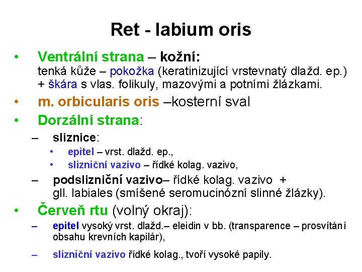 Ret - labium oris • Ventrální strana – kožní: • • m. orbicularis oris