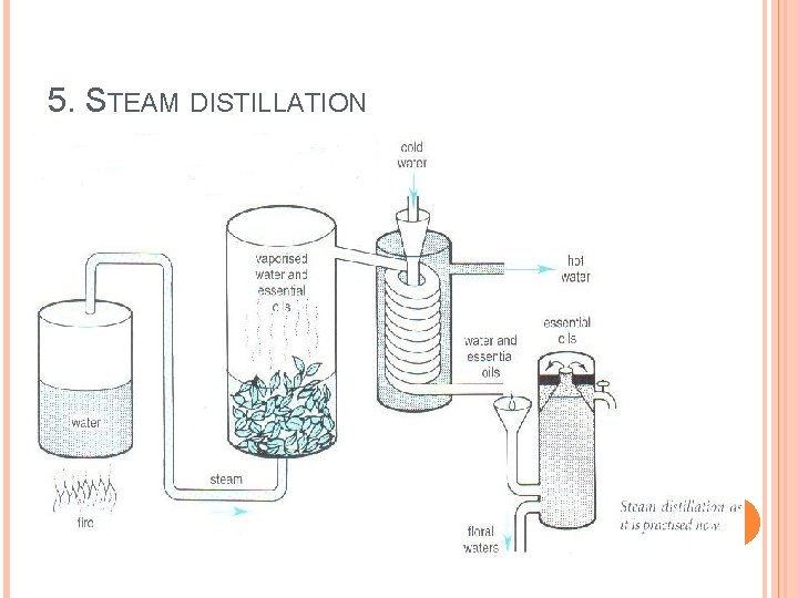 5. STEAM DISTILLATION 