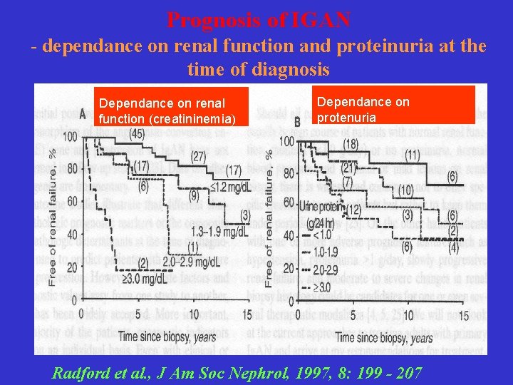 Prognosis of IGAN - dependance on renal function and proteinuria at the time of