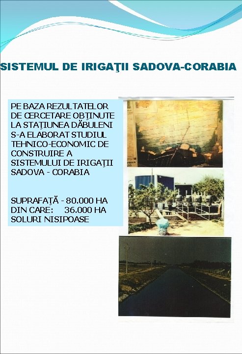 SISTEMUL DE IRIGAŢII SADOVA-CORABIA PE BAZA REZULTATELOR DE CERCETARE OBŢINUTE LA STAŢIUNEA DĂBULENI S-A