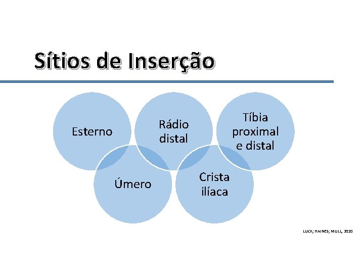 Sítios de Inserção Tíbia proximal e distal Rádio distal Esterno Úmero Crista ilíaca LUCK;