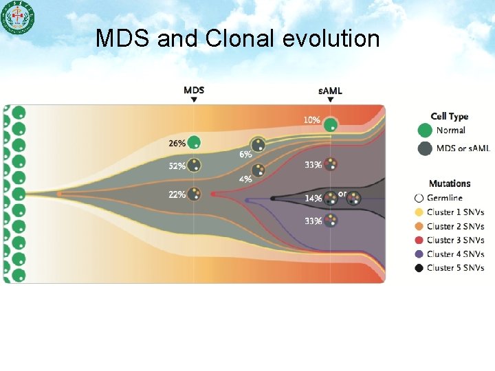 MDS and Clonal evolution 