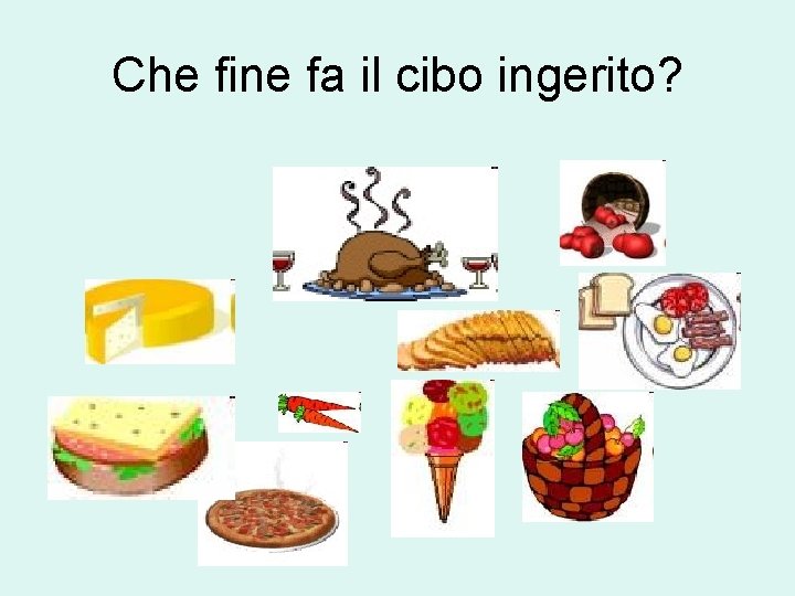 Che fine fa il cibo ingerito? 