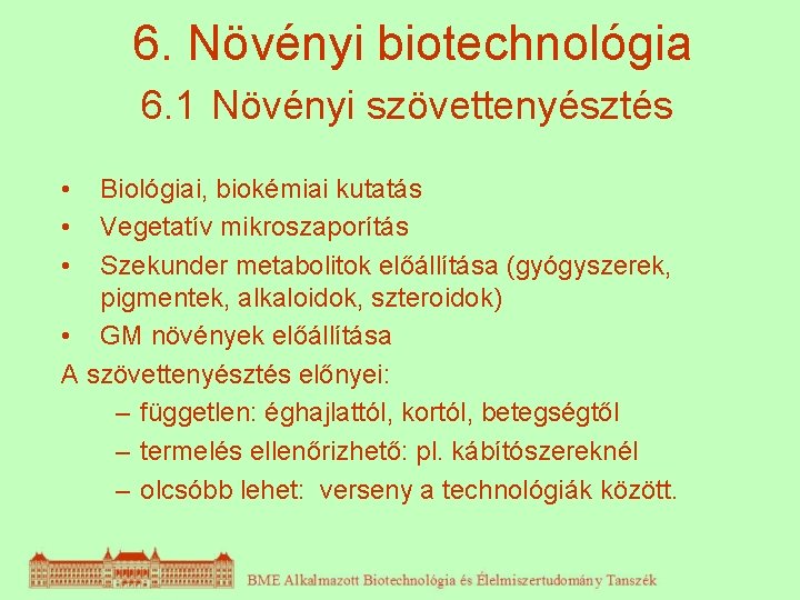 6. Növényi biotechnológia 6. 1 Növényi szövettenyésztés • • • Biológiai, biokémiai kutatás