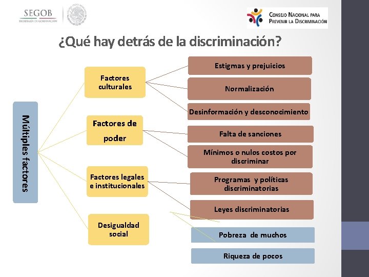 ¿Qué hay detrás de la discriminación? Estigmas y prejuicios Factores culturales Normalización Múltiples factores